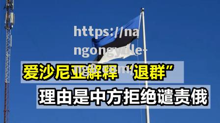 捷克主场3比0战胜爱沙尼亚，晋级前景一片光明
